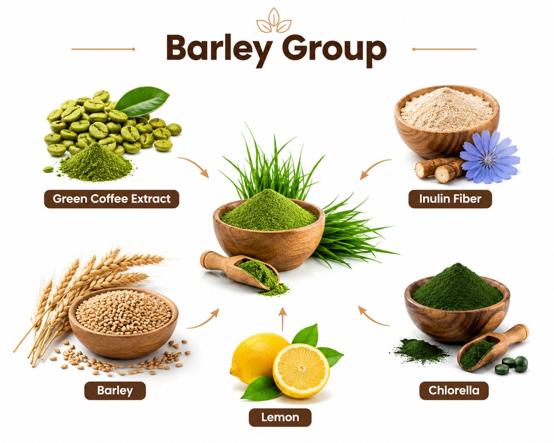 Barley Group: Barley, Green Coffee Extract, Inulin Fiber, Chlorella, Lemon